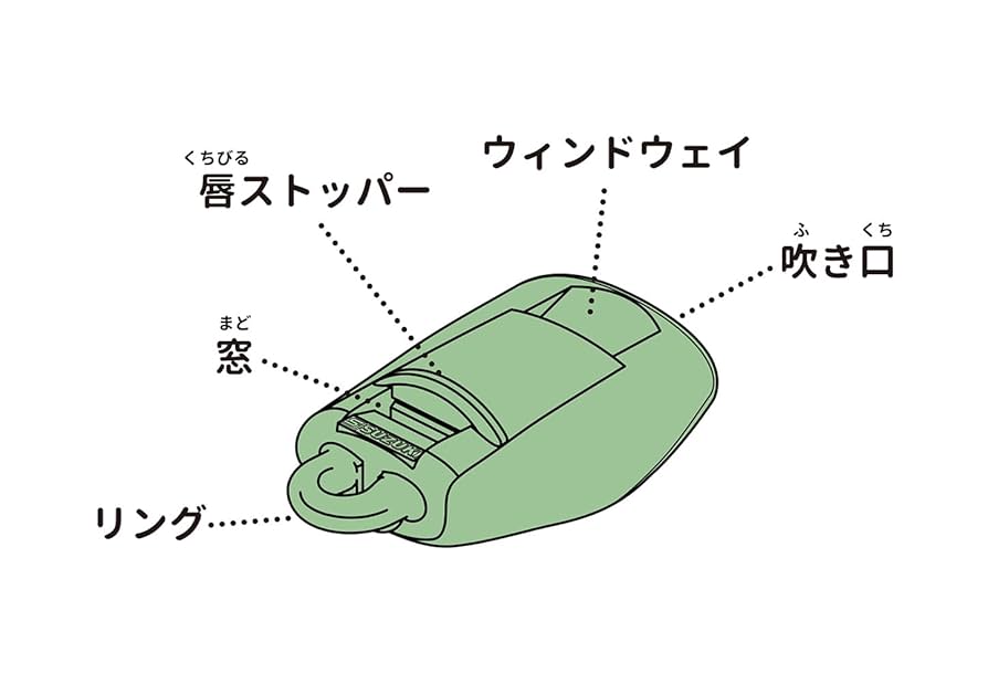 510-+OSNJzL._UF894,1000_QL80_.jpg
